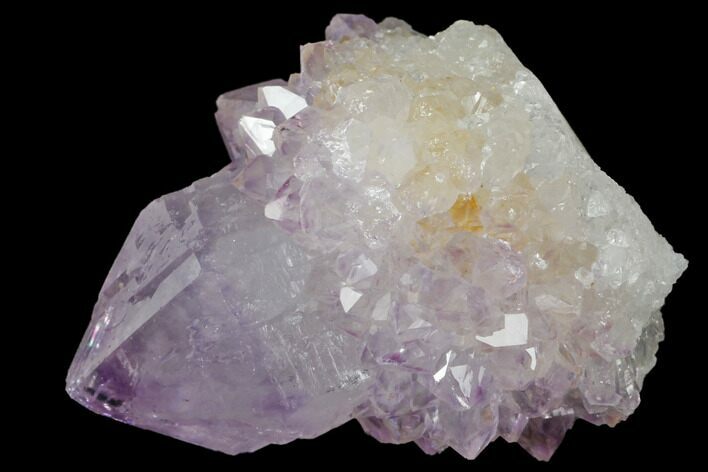 Cactus Quartz (Amethyst) Crystal - South Africa #132452